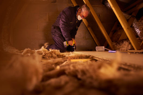 Best Insulation for Existing Homes  in Monmouth Junction, NJ